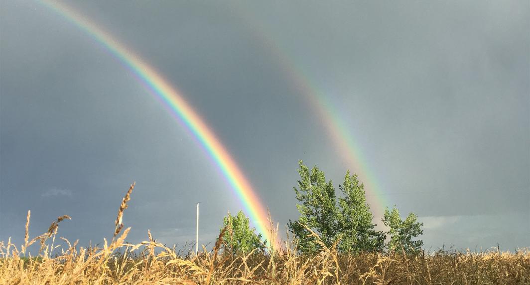 grass field with double rainbow behind it