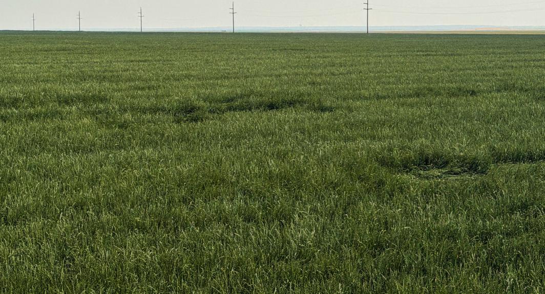 A Field