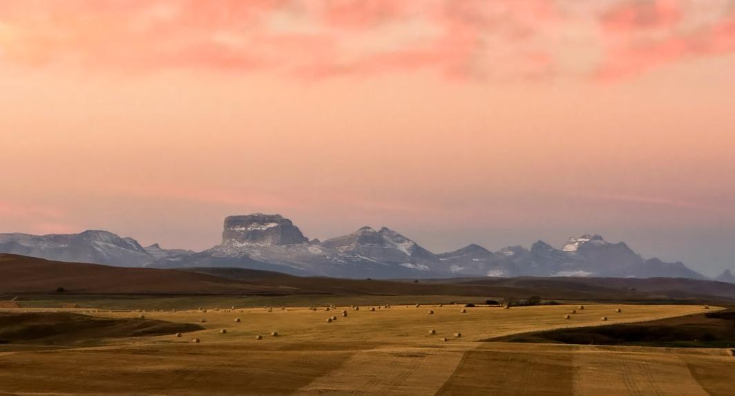 Fields and Chief Mountain in the background