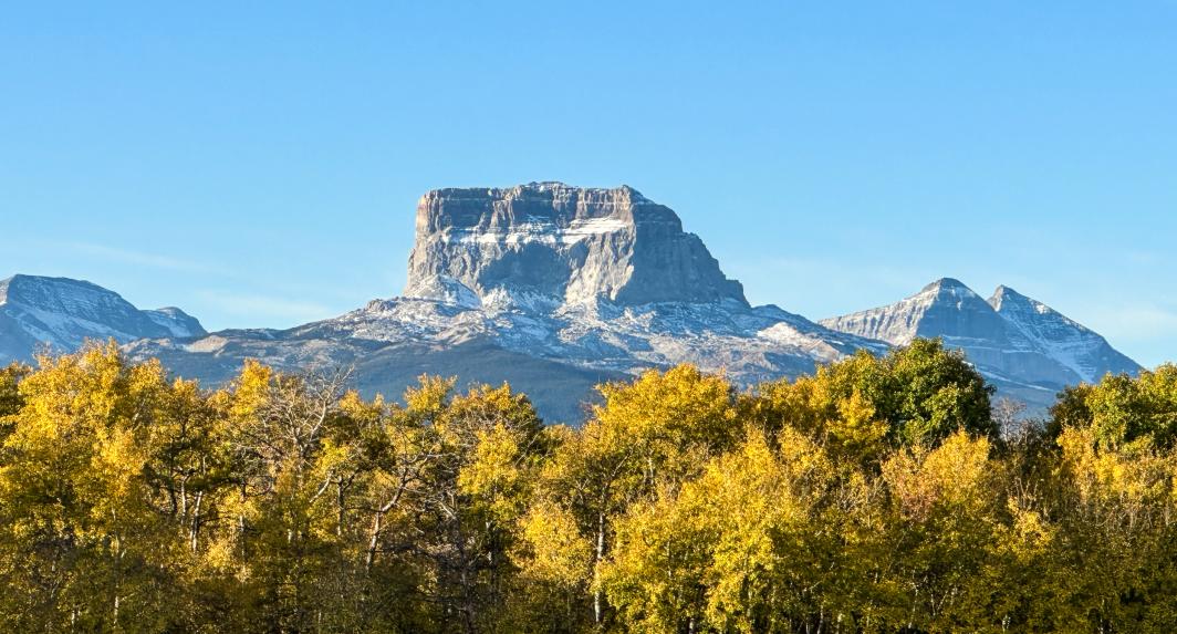 Chief Mountain &amp; Trees