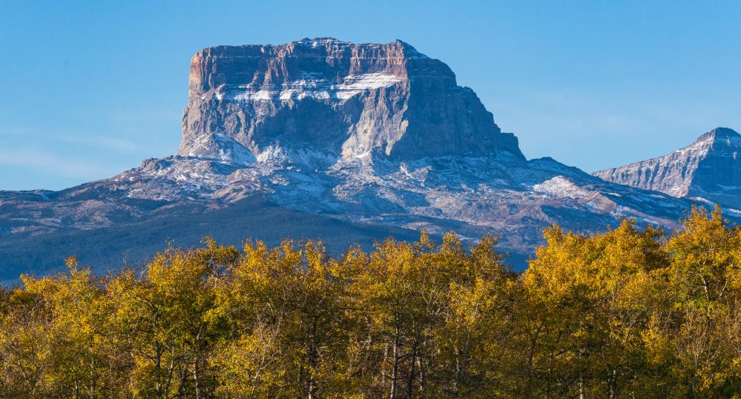 Chief Mountain &amp; Trees