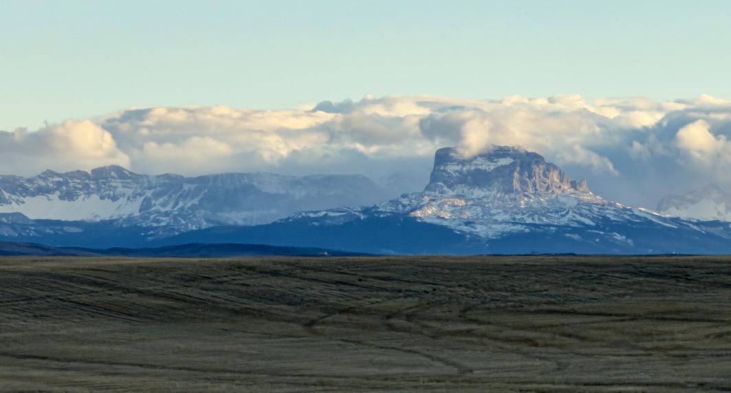 Chief Mountain and Fields