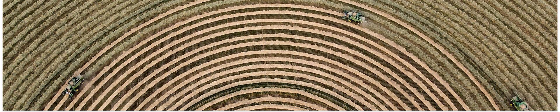 Harvesting seed in the circular field